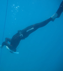 Bob Reus diving